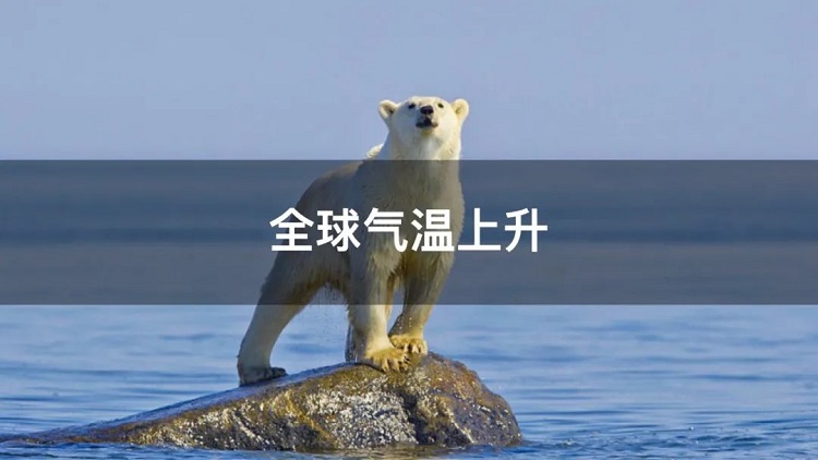 螞蟻商聯(lián)攜手金好來超市發(fā)起“以竹代木，翠我山河”植樹節(jié)活動，從改變生活習慣開始！喊你為公益接力~
